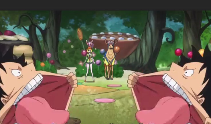 One Piece Episode 791