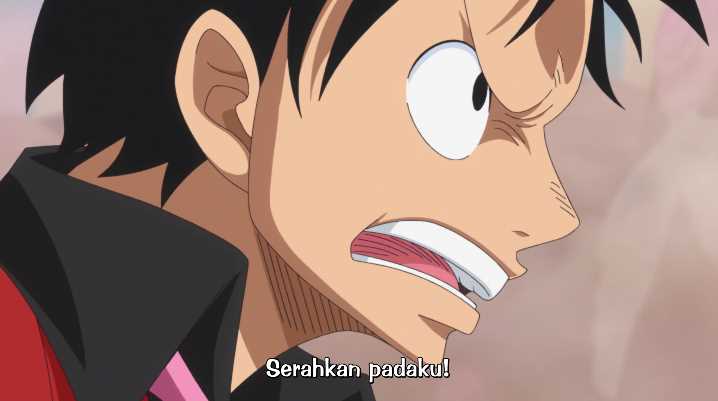 One Piece Episode 835