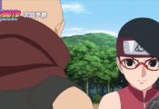 Boruto: Naruto Next Generations Episode 245