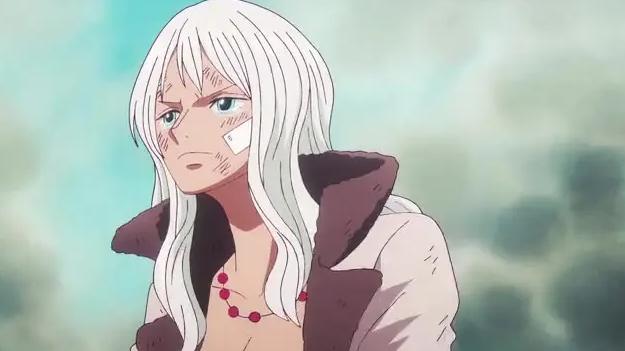 One Piece Episode 1096